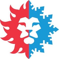 Lion Logo